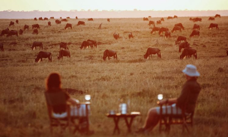 HONEYMOON SAFARI